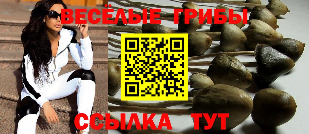Клин  Псилоцибиновые грибы GOLDEN TEACHER  где купить наркотик  Галлюциногенные грибы MAGIC MUSHROOMS  Вход с VPN 